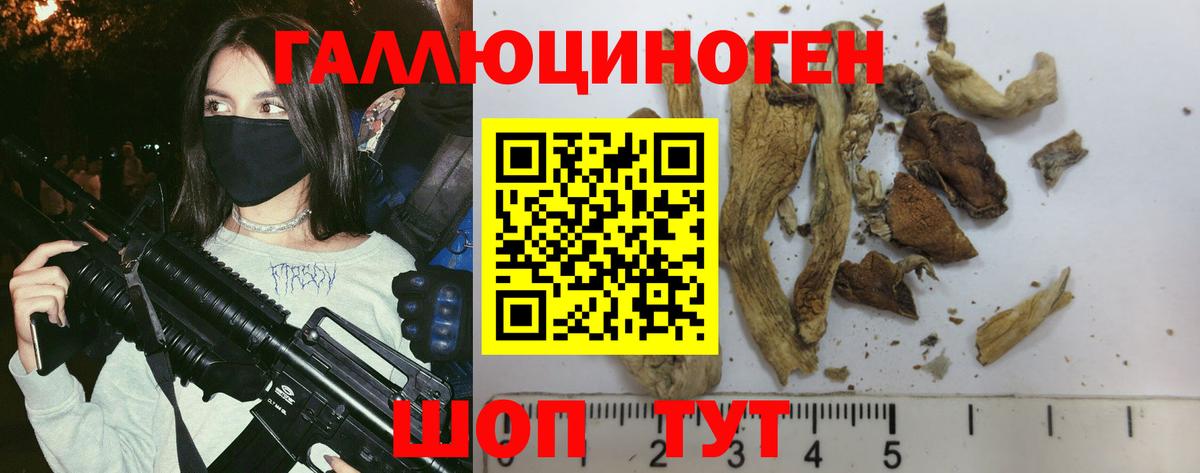 Галлюциногенные грибы ЛСД  где можно купить   Новошахтинск  Вход с VPN 